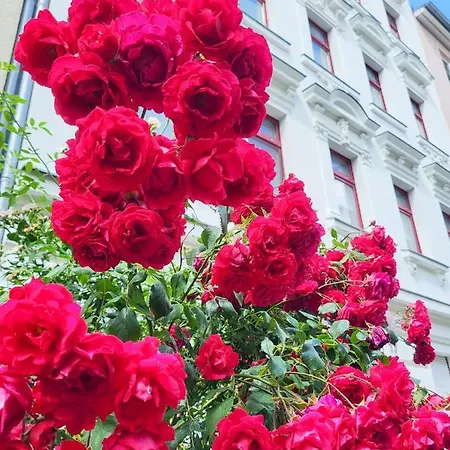 Διαμέρισμα Gruenderhaus Βραδεμβούργο