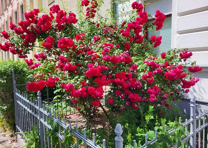 アパート Gruenderhaus *