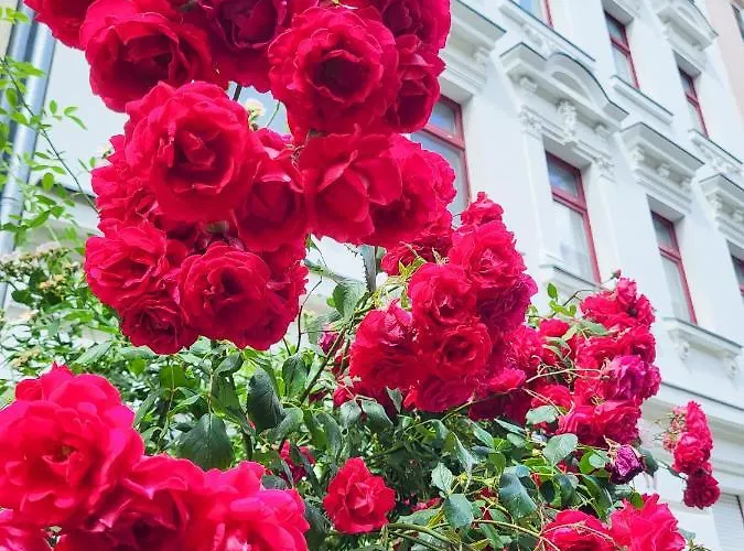 דירה Gruenderhaus בראנדנבורג